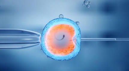 泰国第三代试管婴儿哪里可以做？医院排行！