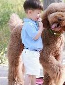 漯河做试管婴儿多少钱？漯河有可以做试管的医院吗？