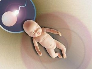 南充西充县可以做试管婴儿吗，南充能做试管婴儿吗